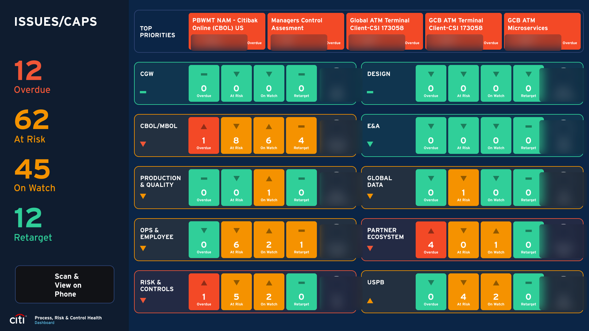PRC Health dashboard, Issues and CAPs view